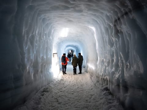 Silver Circle & Glacier Exploration | Private Tour | Photo Package Included, photo 4