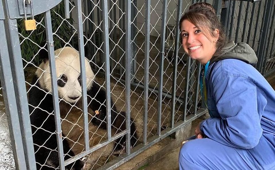 Dujiangyan Panda Volunteering Experience with Lunch Included