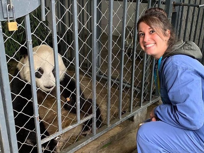 Dujiangyan Panda Volunteering Experience with Lunch