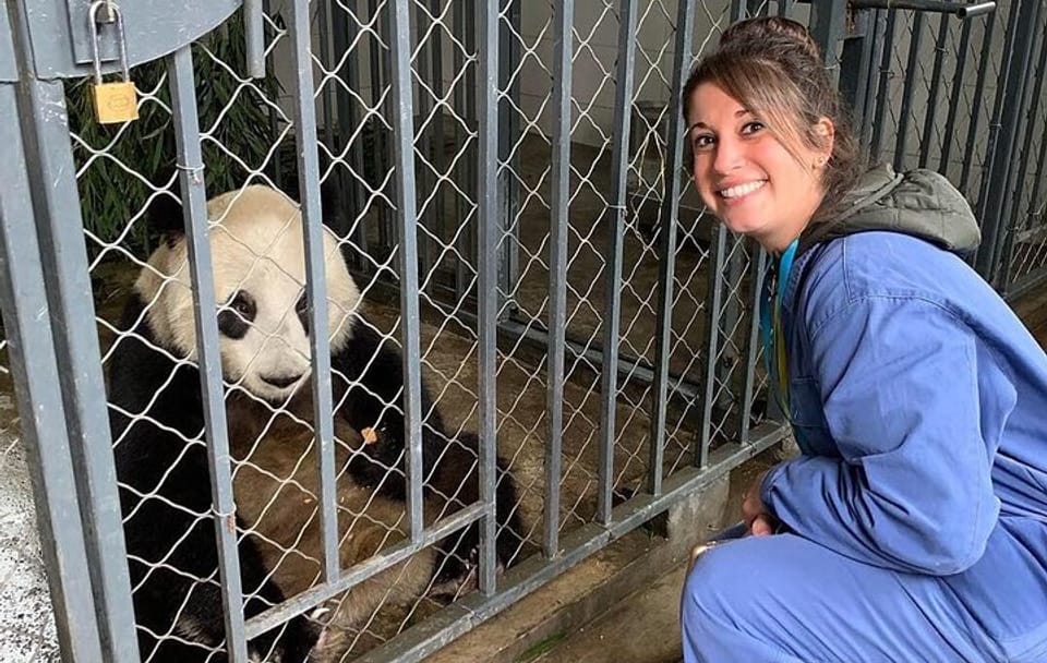 Dujiangyan Panda Volunteering Experience with Lunch Included