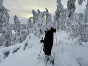 Private tour: Snowshoeing in Levi  9