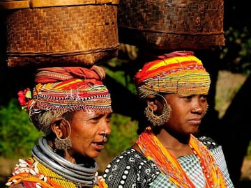 Tribal Culture and Tiger Safari Tour from Vizag to Nagpur