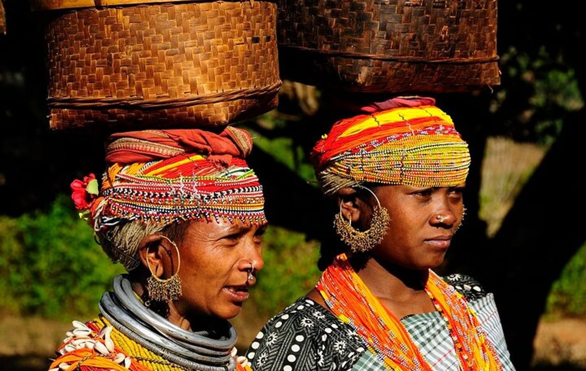 Vizag to Nagpur Tribal Communities & Tiger Safari