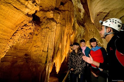 Day Tour to Waitomo Glowworm Caves and Hamilton Gardens