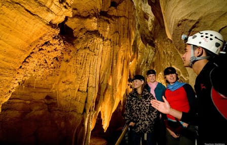 Day Tour of Waitomo Ruakuri Caves and Hamilton Gardens