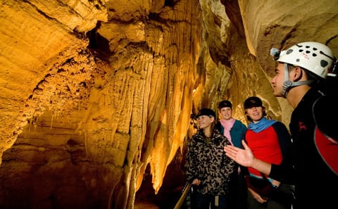 Day Tour of Waitomo Ruakuri Caves and Hamilton Gardens