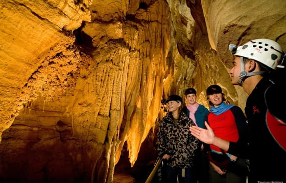Day Tour of Waitomo Ruakuri Caves and Hamilton Gardens