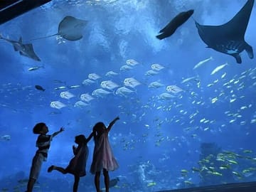 Hurghada Grand Aquarium Discovery Tour with Transfers