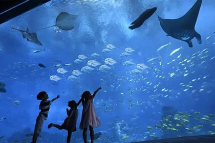 Hurghada Grand Aquarium Discovery Tour with Tickets & Transfers