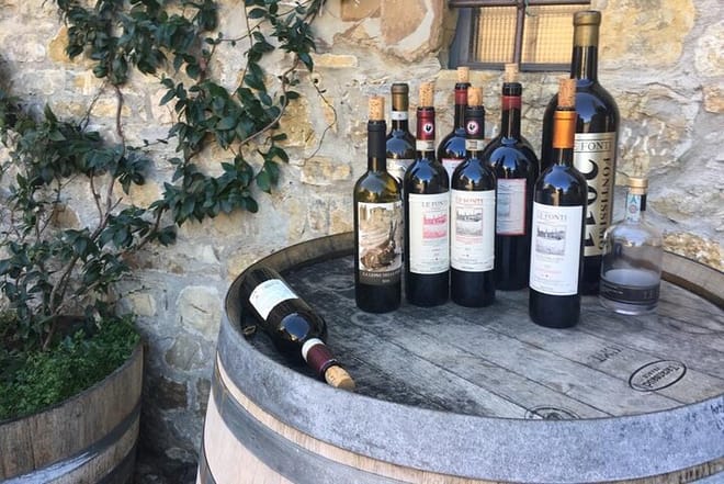 PRIVATE Full-Day Wine Experience in Chianti Classico. 7