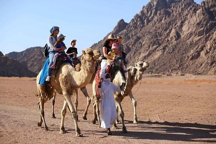 Stargazing And Jeep Safari With Dinner And Show In Hurghada 10