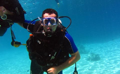 Diving and Snorkeling Day Trip in Egypt's Underwater Paradise