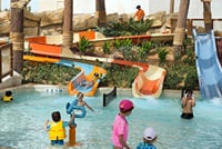 Yas Water World Tickets With optional Pickup and Drop off 7
