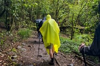 1-Day Mount Kilimanjaro Experience: Marangu Gate to Mandara Hut Day Hike 7