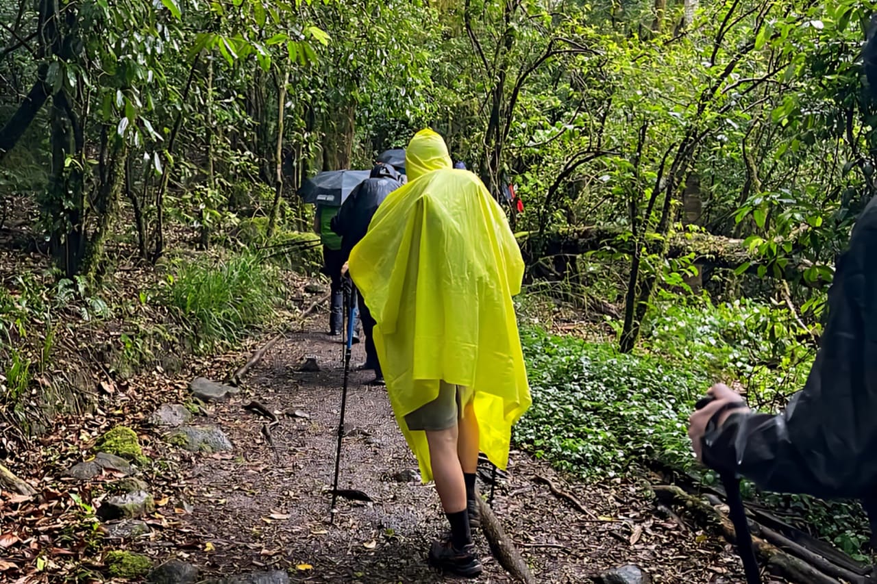 1-Day Mount Kilimanjaro Experience: Marangu Gate to Mandara Hut Day Hike 7