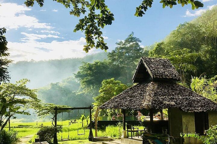 Trekking and Cultural Experience in Mae Kampong Village, Chiang Mai