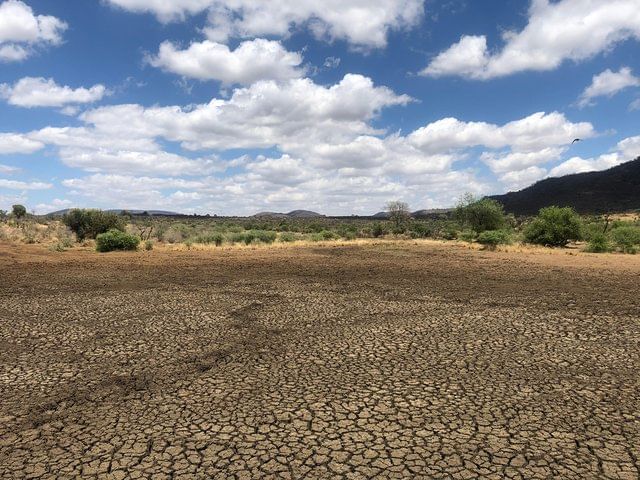 Mud flats after drought