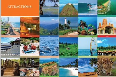 Car & Driver one week private tour in Sri Lanka 6 nights -7 days