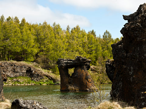 Lake Mývatn and Goðafoss Tour, photo 7