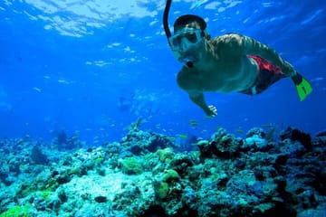 Snorkeling in Trincomalee