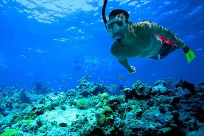 Snorkeling in Trincomalee