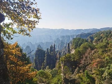 1 Day Avatar Mountain & Fores Park Group Tour with VIP Access