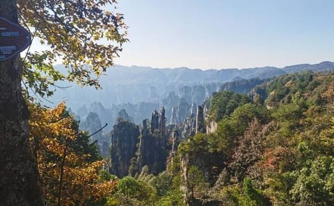Zhangjiajie National Forest Park VIP Group Tour Experience