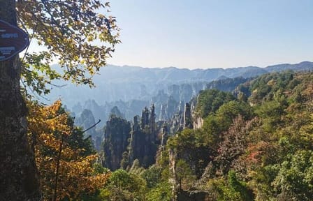 Zhangjiajie National Forest Park VIP Group Tour Experience