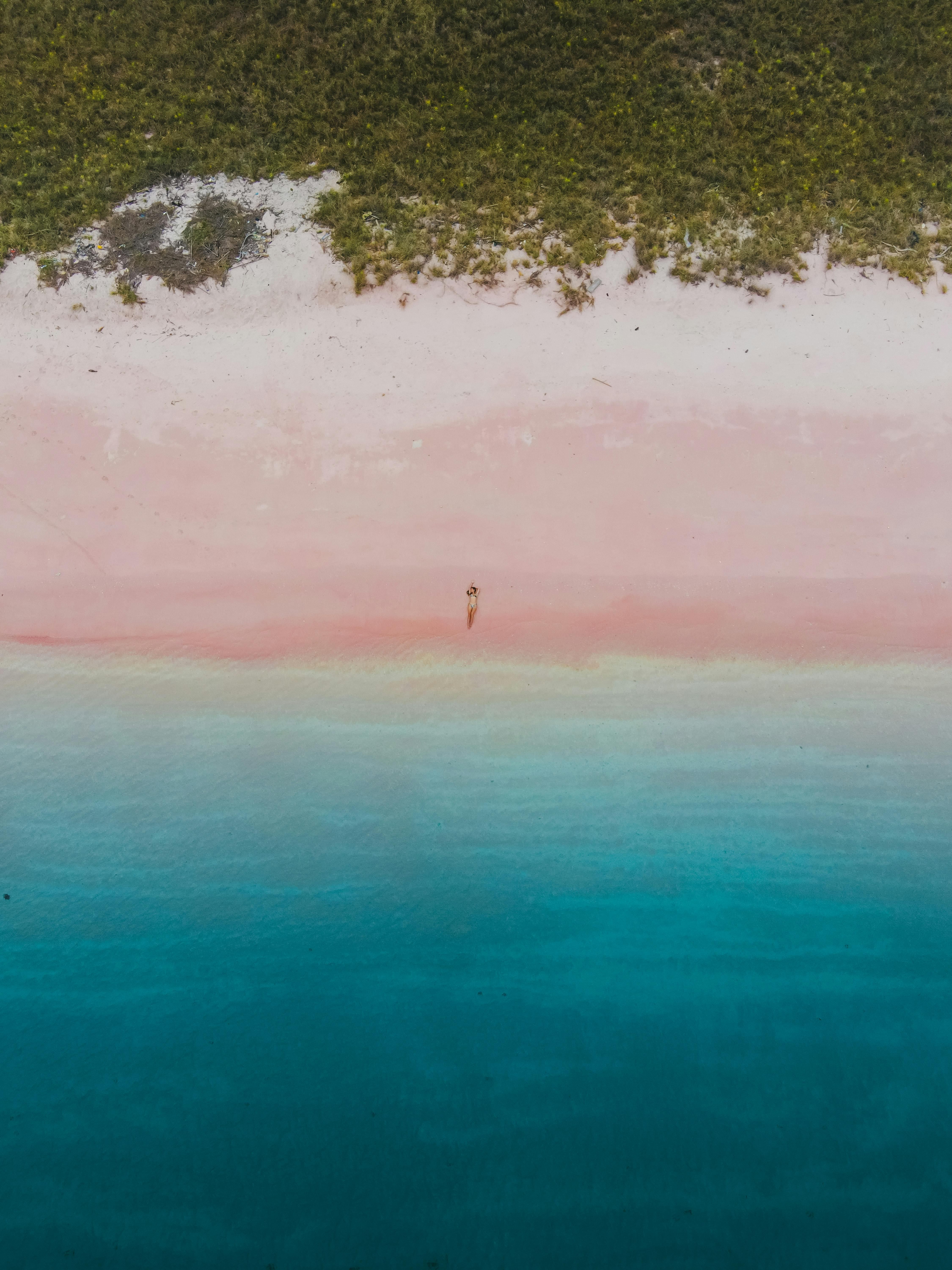 Tour guidato di un'intera giornata all'isola dei draghi di Komodo: Pink Beach