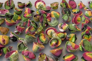 Colorful Pasta and Tiramisu Lesson in Milan