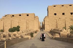 Day tour to Luxor from Safaga port