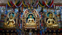 A Private Day Tour from Mysore to Coorg 5
