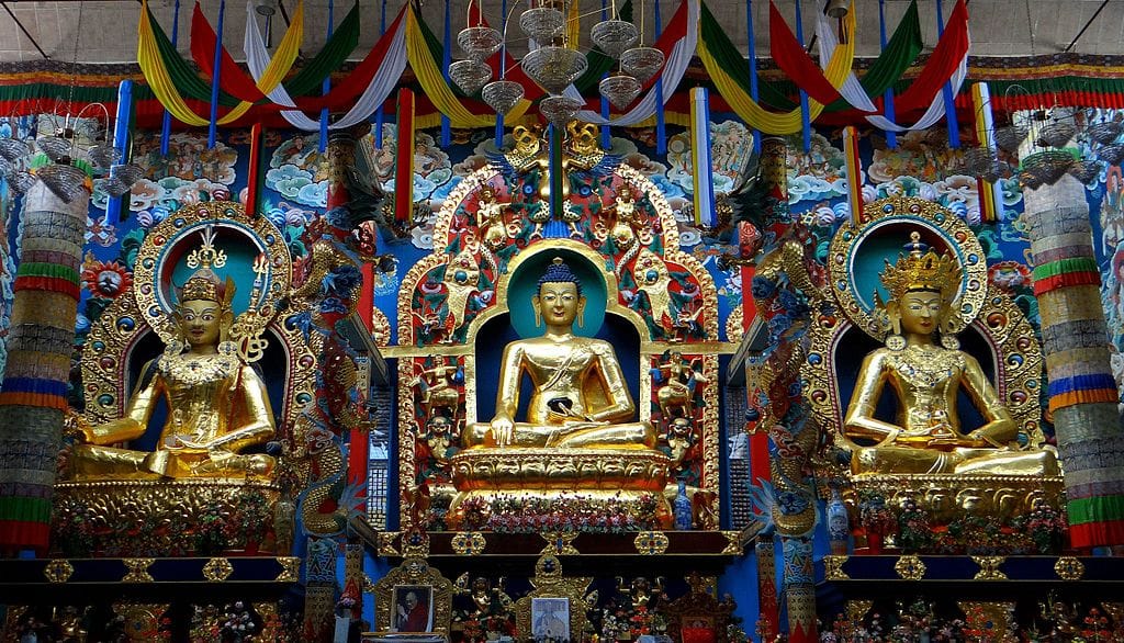 A Private Day Tour from Mysore to Coorg 5