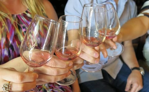 Troodos Mountains Wine Tasting and Village Tour from Limassol