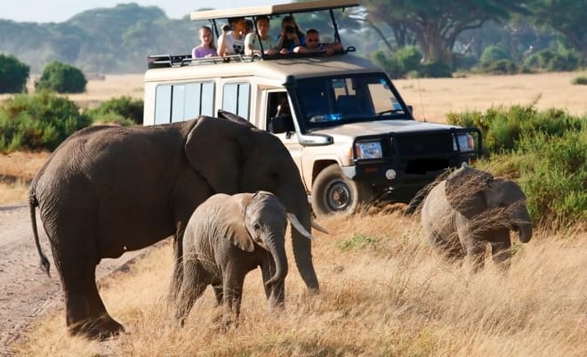 12 Days Kenya & Tanzania Combo Big Five Safari 5