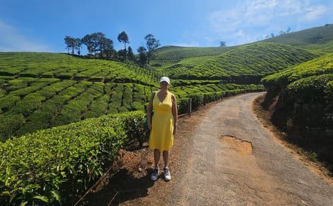 Private 3-Day Cultural Tour of Munnar from Madurai