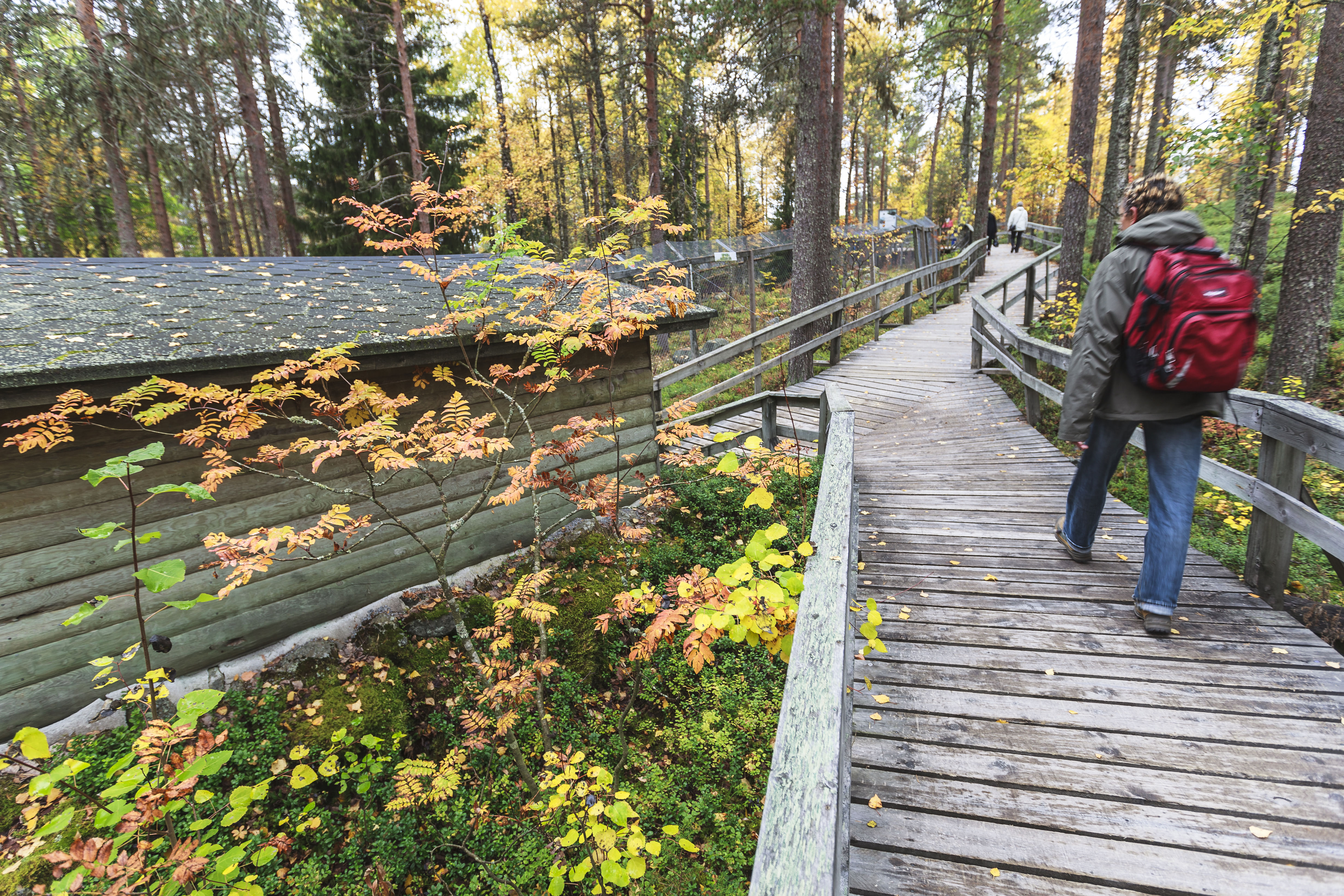 Excursion To Ranua Wildlife Park By Lapland Safaris - Visit Rovaniemi