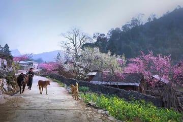 Private 3-Day Adventure Tour of Hà Giang's Hidden Gems
