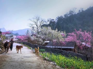 3-Day Ha Giang Loop Private Car Tour with English speaking guide