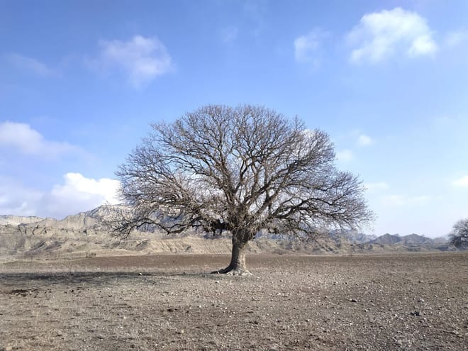 Jeep Tour to Vashlovani National Park from Tbilisi