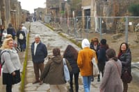 Vesuvius Shore Tour and Pompeii Site 7