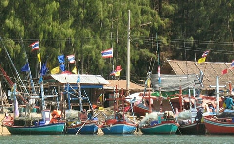 Pranburi River 4.5-Hour Scenic Trip from Hua Hin