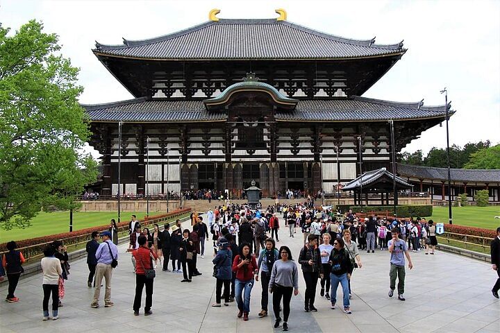 Discover Nara Park: A Day with Deer and Ancient Temples