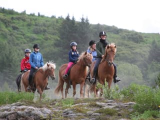 Lava Tour - Horseback Riding through the Lava Fields, photo 21