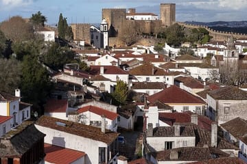 AVEIRO, NAZARÉ and OBIDOS: Private Tour from Porto