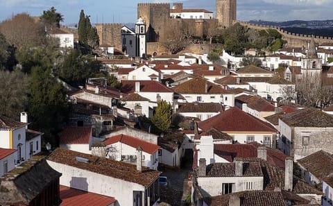 Private Full-Day Tour of Aveiro, Nazaré, and Óbidos from Porto