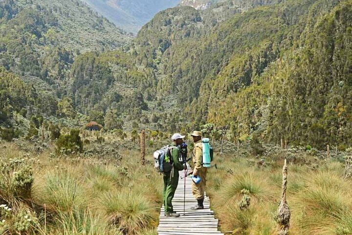 13-Day Rwenzori Mountain and Bwindi Gorilla Safari