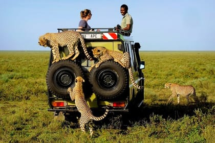 3Day Amboseli National Park Budget Safari on 4×4 Landcruiser Jeep