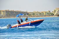 Swim With Dolphin By small-group Speedboat &amp; Transfer - Hurghada