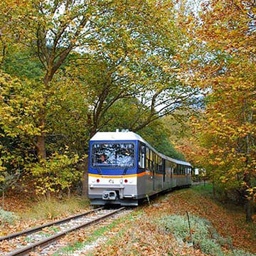 Private Tour of Kalavrita (Odontotos Rack Railway) From Athens